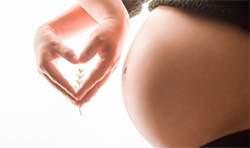 在[扬州]刚怀孕如何做亲子鉴定【挂号预约】，扬州怀孕亲子鉴定要多少钱