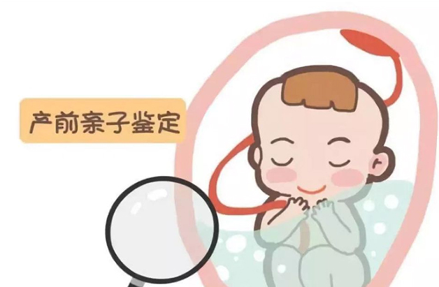 在扬州怀孕了如何办理产前亲子鉴定,在扬州怀孕期间做亲子鉴定准确性高吗