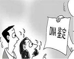 扬州DNA鉴定中心在哪里，扬州DNA亲子鉴定费用是多少